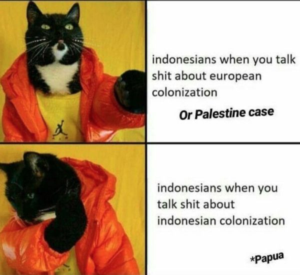 meme3 Cat Drake meme